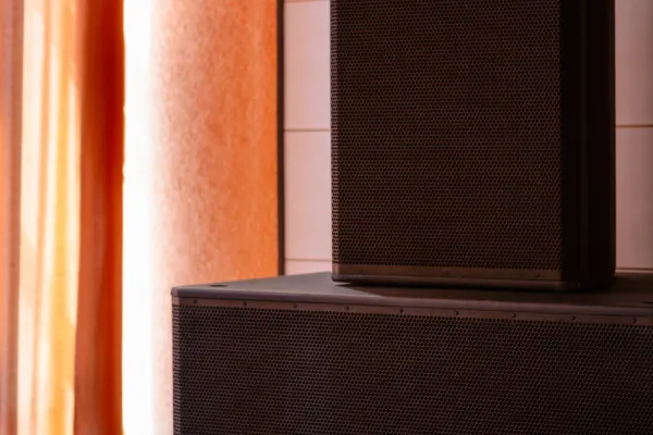 Активные и пассивные сабвуферы: различия